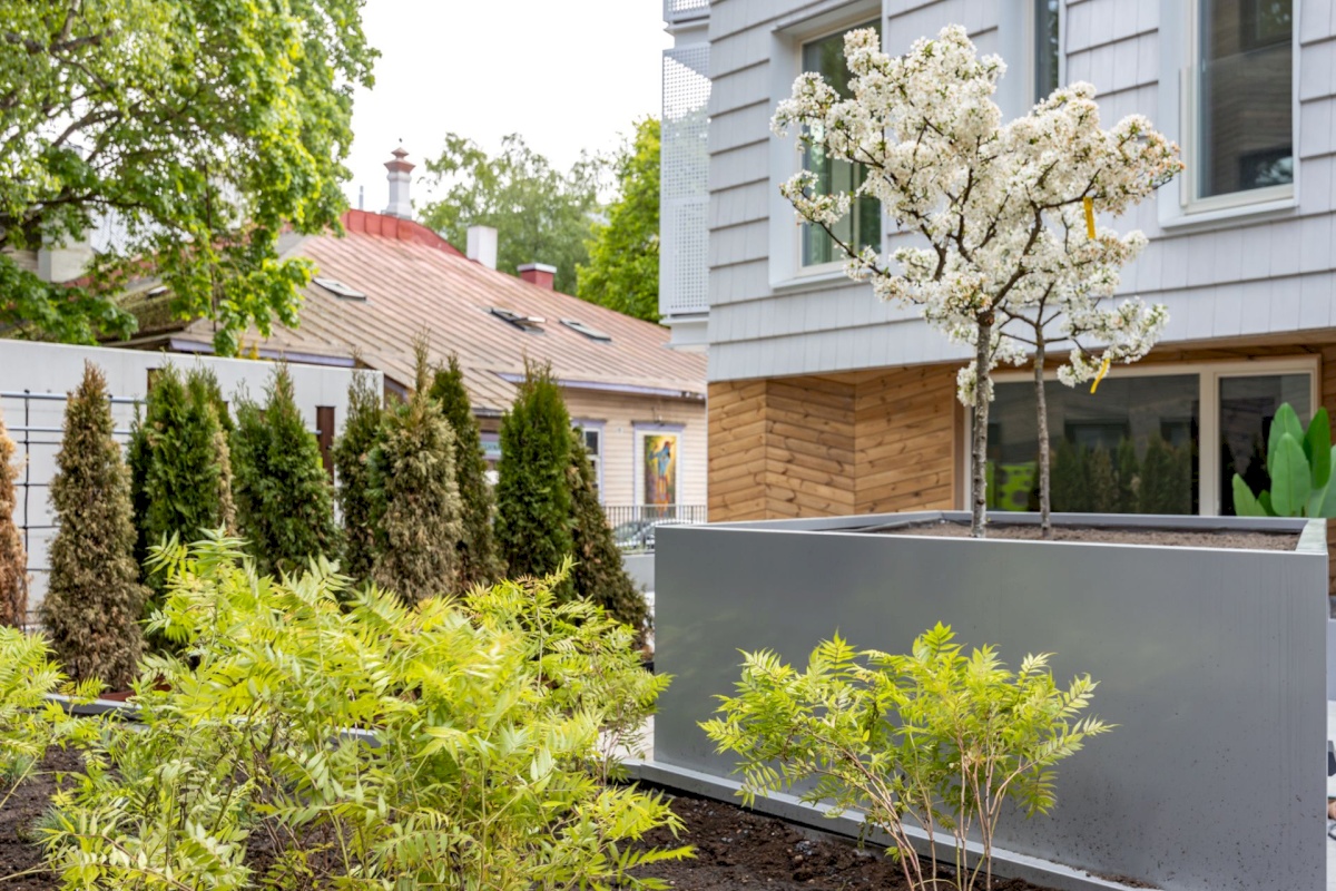 Tallinn, Kesklinna linnaosa, Luise 13