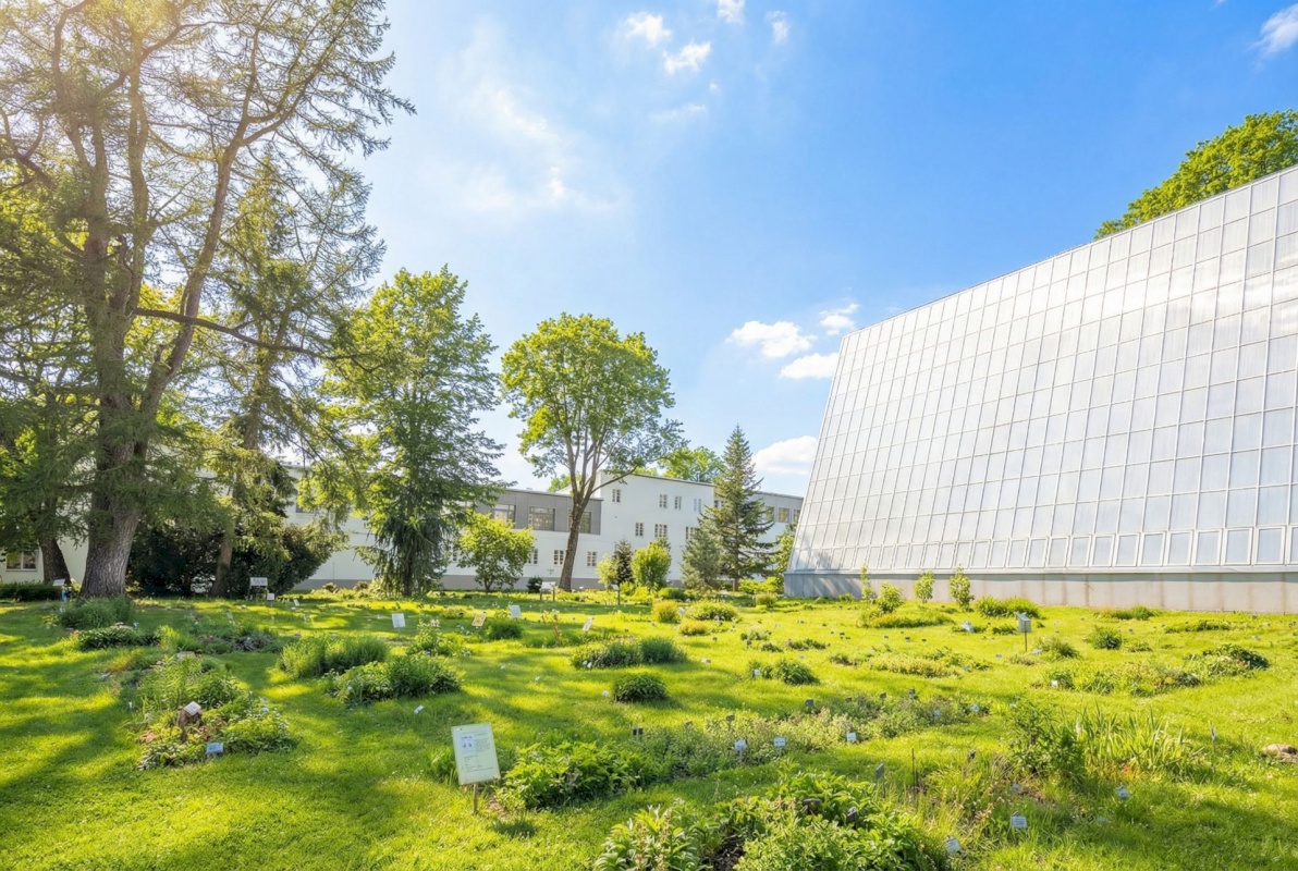 Tartu linn, Tartu linn, Kesklinn, Lai 36c