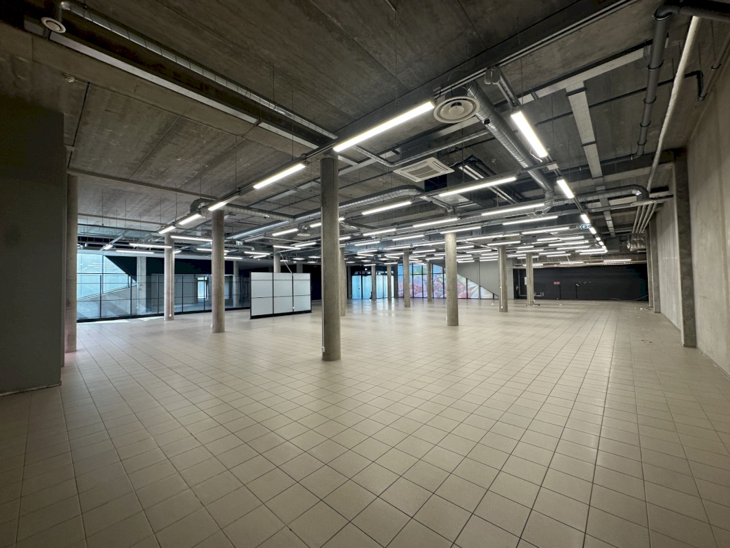 Saaremaa vald, Kuressaare linn, Merikotka 1