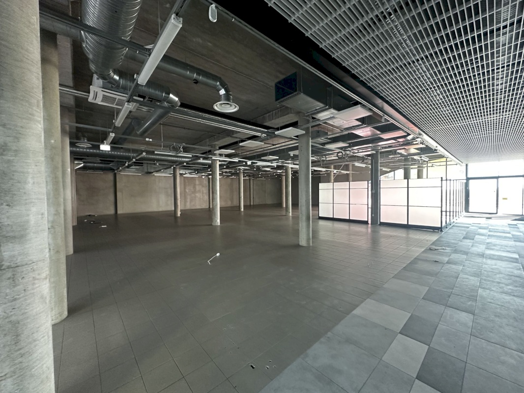 Saaremaa vald, Kuressaare linn, Merikotka 1