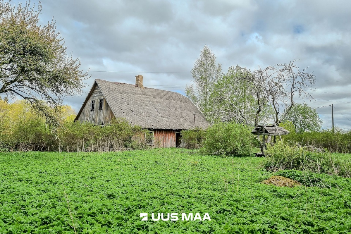 Lääneranna vald, Petaaluse küla