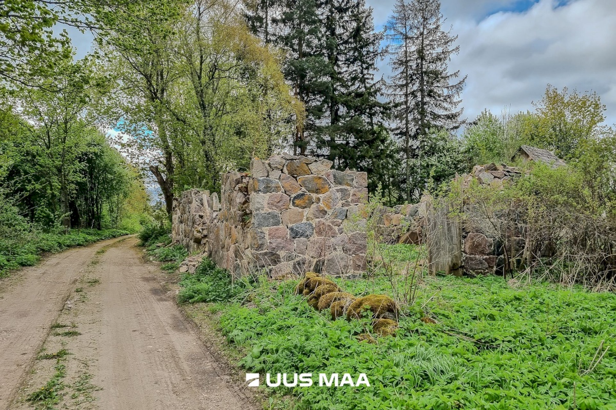 Lääneranna vald, Petaaluse küla