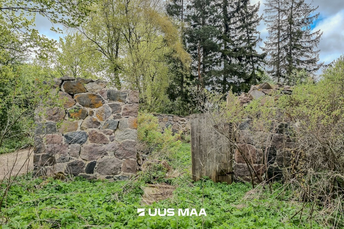 Lääneranna vald, Petaaluse küla