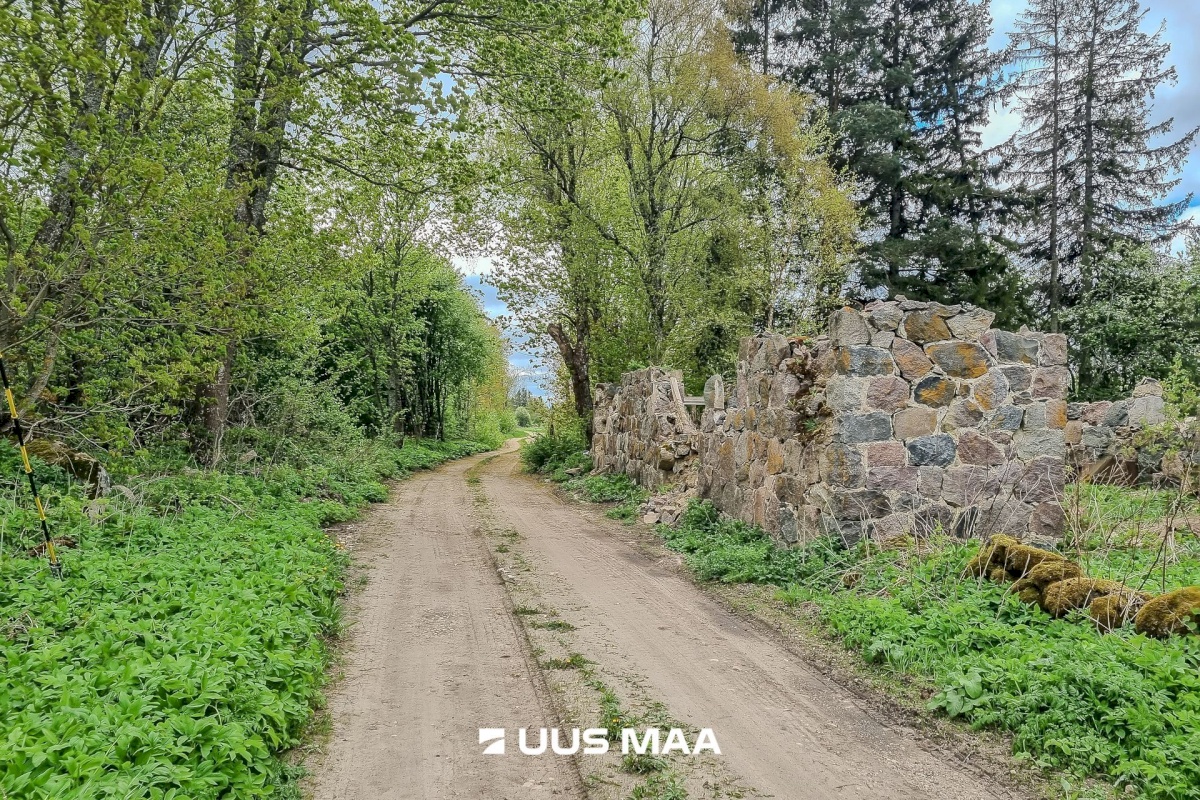 Lääneranna vald, Petaaluse küla