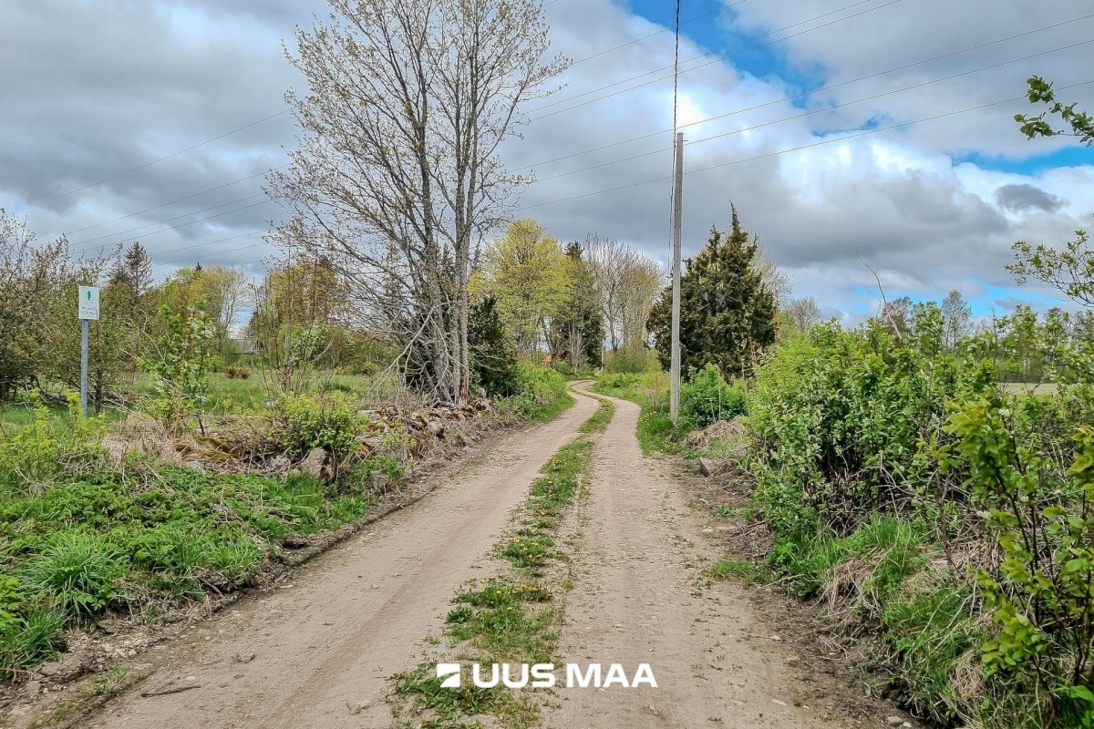 Lääneranna vald, Petaaluse küla