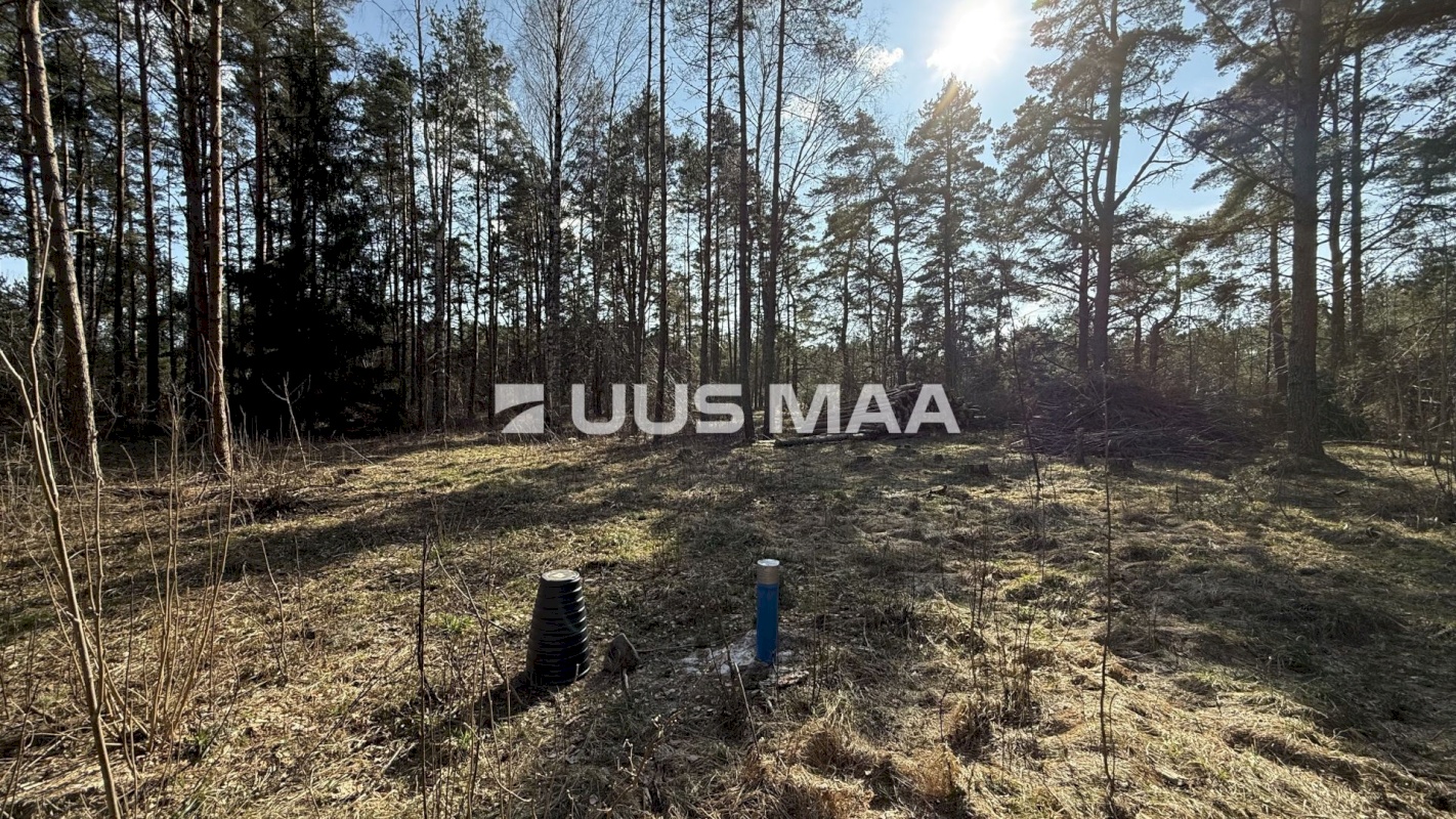 Saaremaa vald, Laugu küla, Kaste