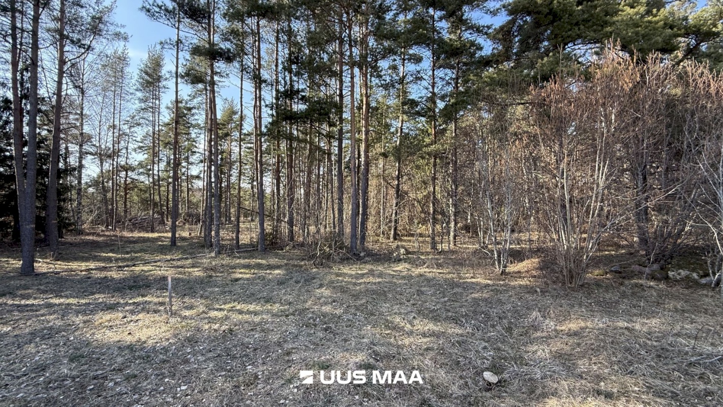 Saaremaa vald, Laugu küla, Kaste