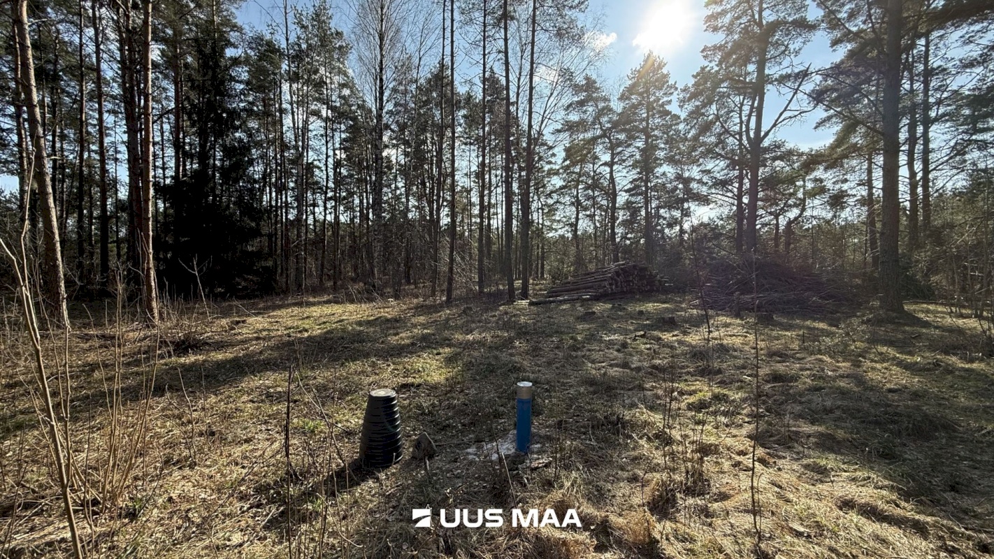 Saaremaa vald, Laugu küla, Kaste