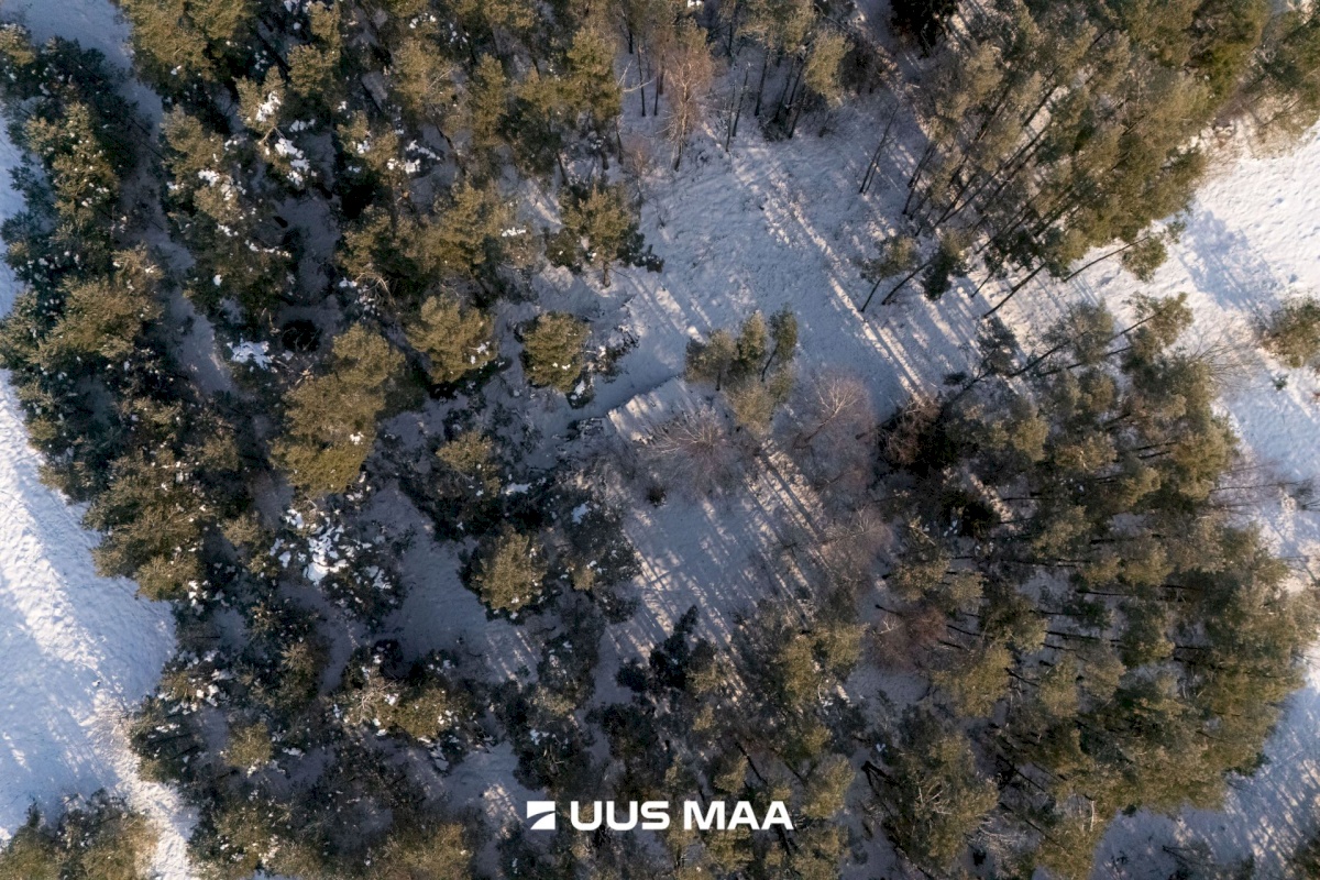 Saaremaa vald, Laugu küla, Kaste