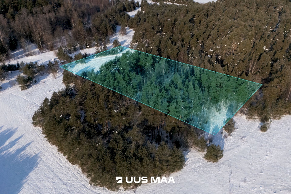 Saaremaa vald, Laugu küla, Kaste