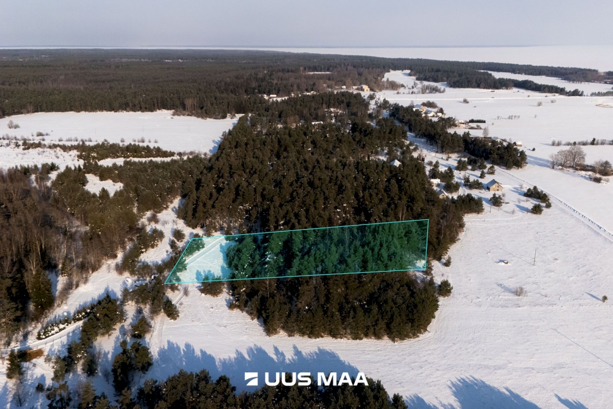 Saaremaa vald, Laugu küla, Kaste