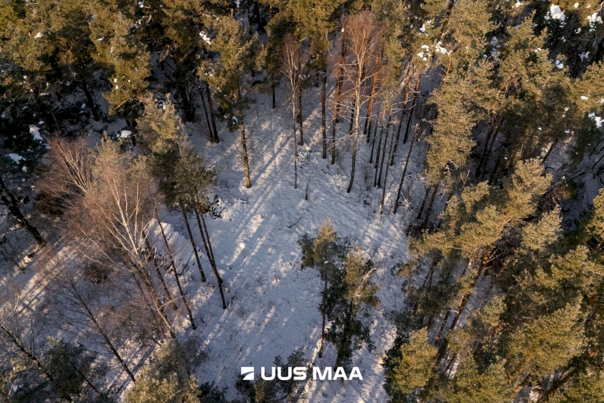 Saaremaa vald, Laugu küla, Kaste