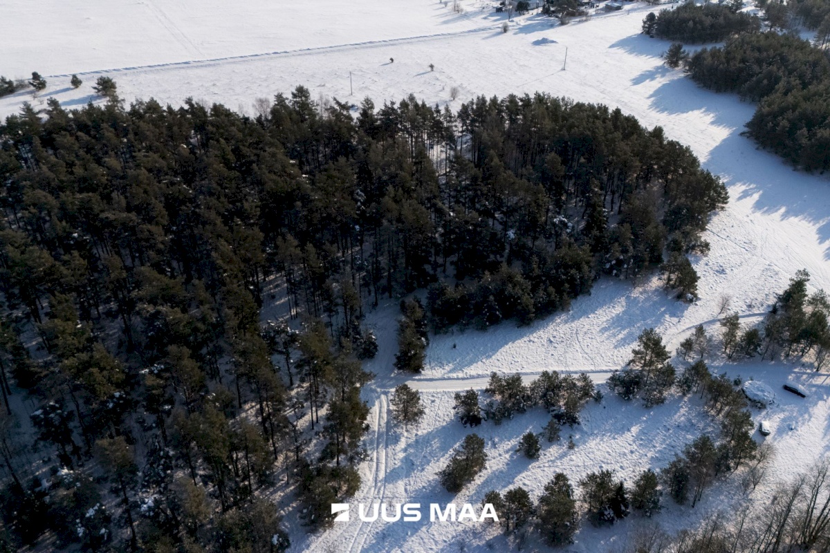 Saaremaa vald, Laugu küla, Kaste