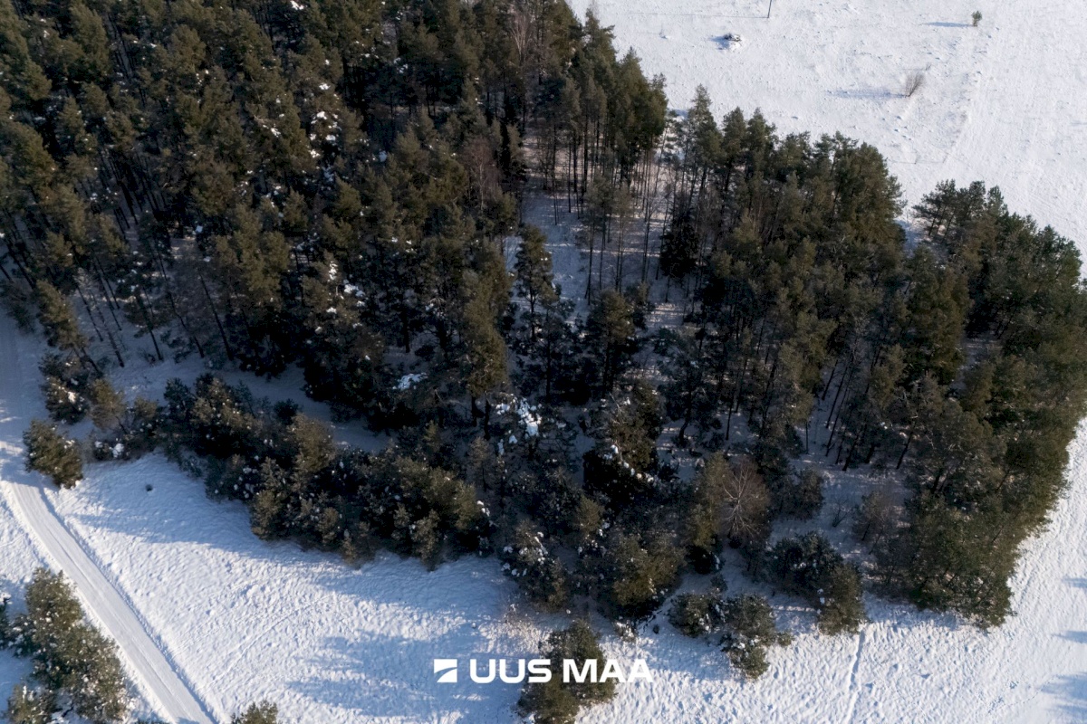 Saaremaa vald, Laugu küla, Kaste