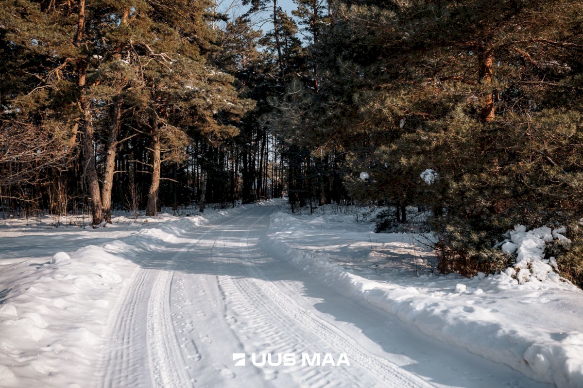 Saaremaa vald, Laugu küla, Kaste