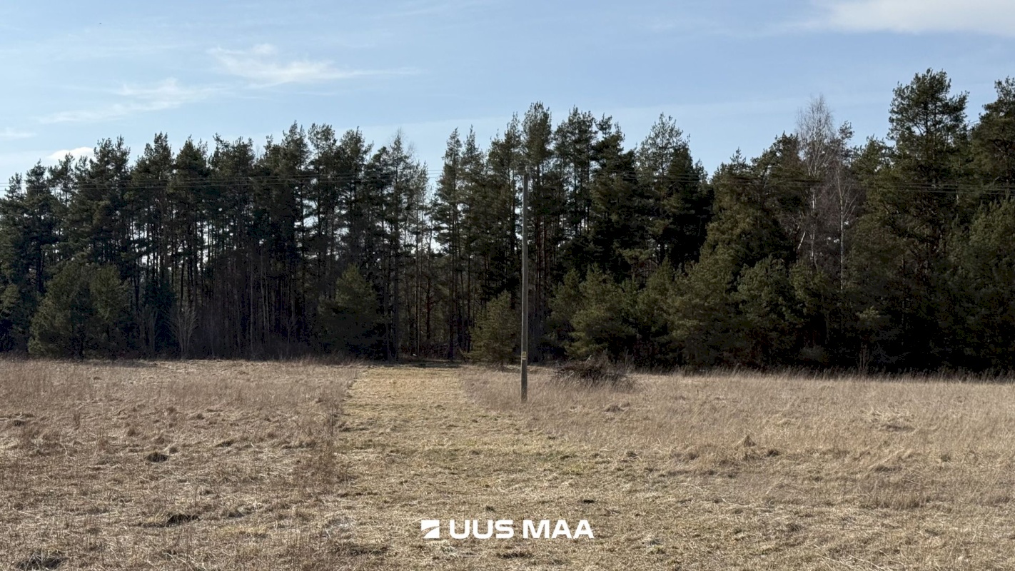 Saaremaa vald, Laugu küla, Kaste