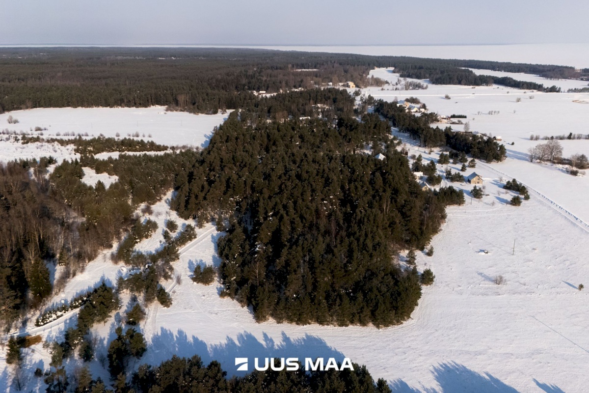 Saaremaa vald, Laugu küla, Kaste