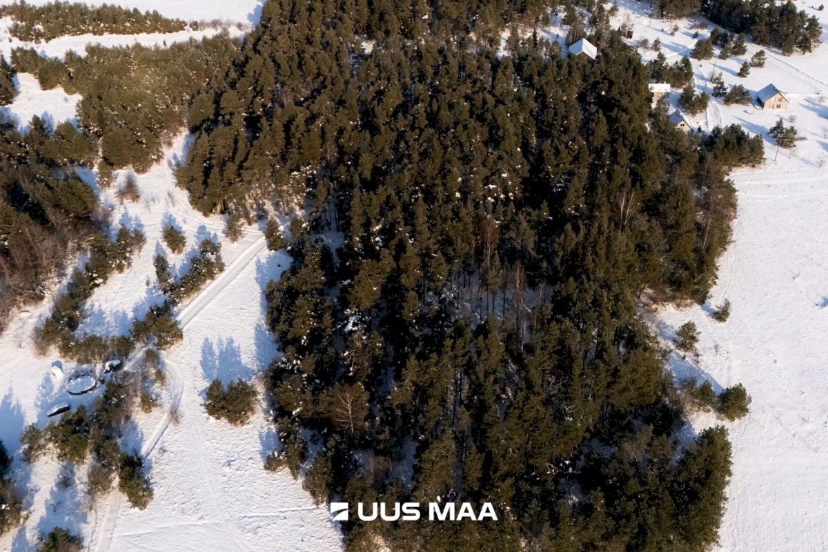 Saaremaa vald, Laugu küla, Kaste