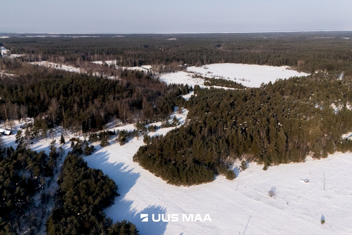 Saaremaa vald, Laugu küla, Kaste
