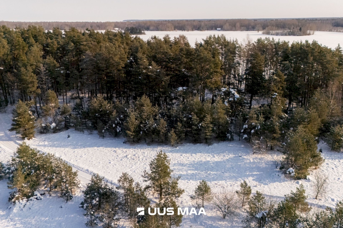 Saaremaa vald, Laugu küla, Kaste