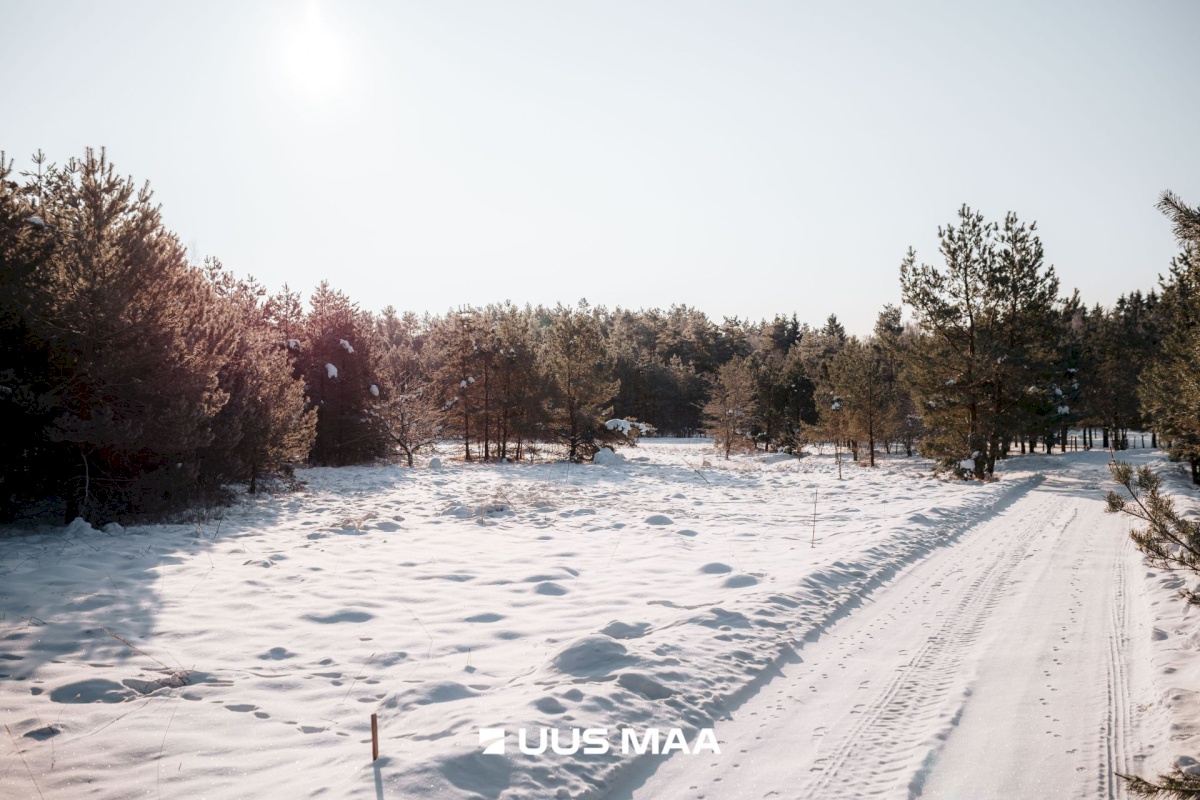 Saaremaa vald, Laugu küla, Kaste