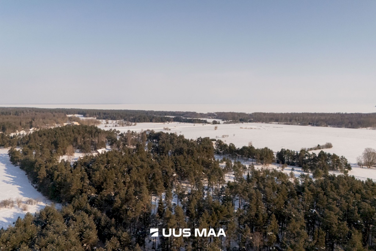 Saaremaa vald, Laugu küla, Kaste