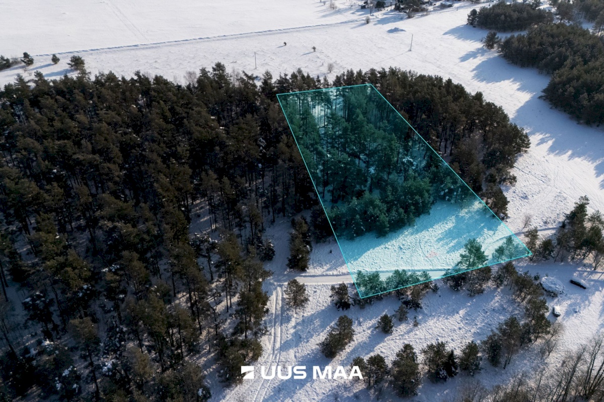 Saaremaa vald, Laugu küla, Kaste