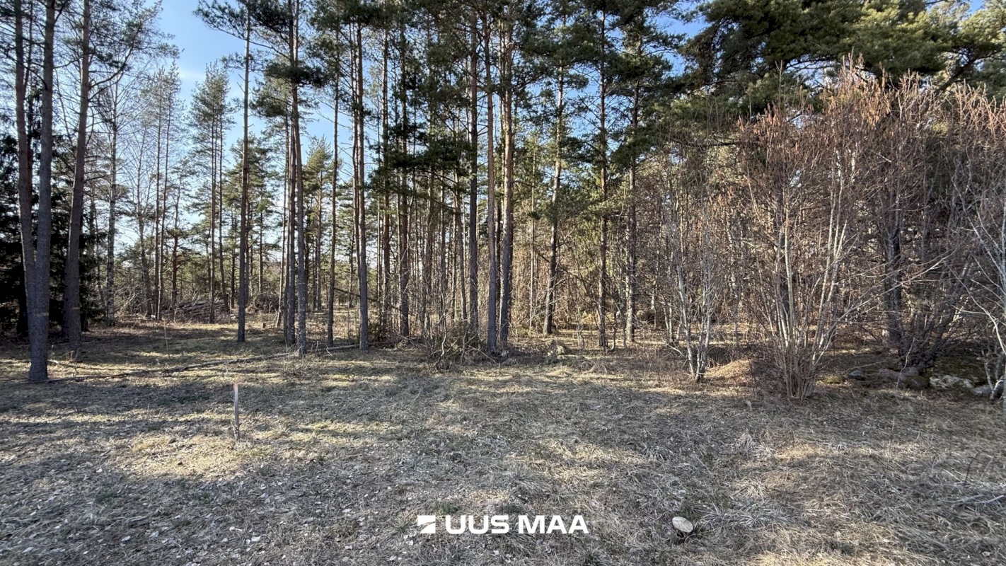 Saaremaa vald, Laugu küla, Kaste