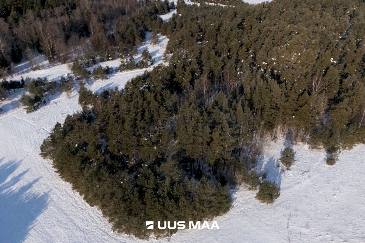 Saaremaa vald, Laugu küla, Kaste