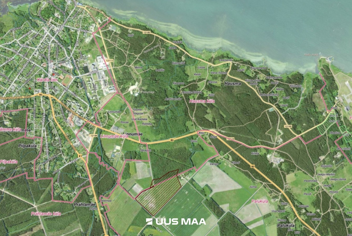 Hiiumaa vald, Hausma küla, Vesiroosi