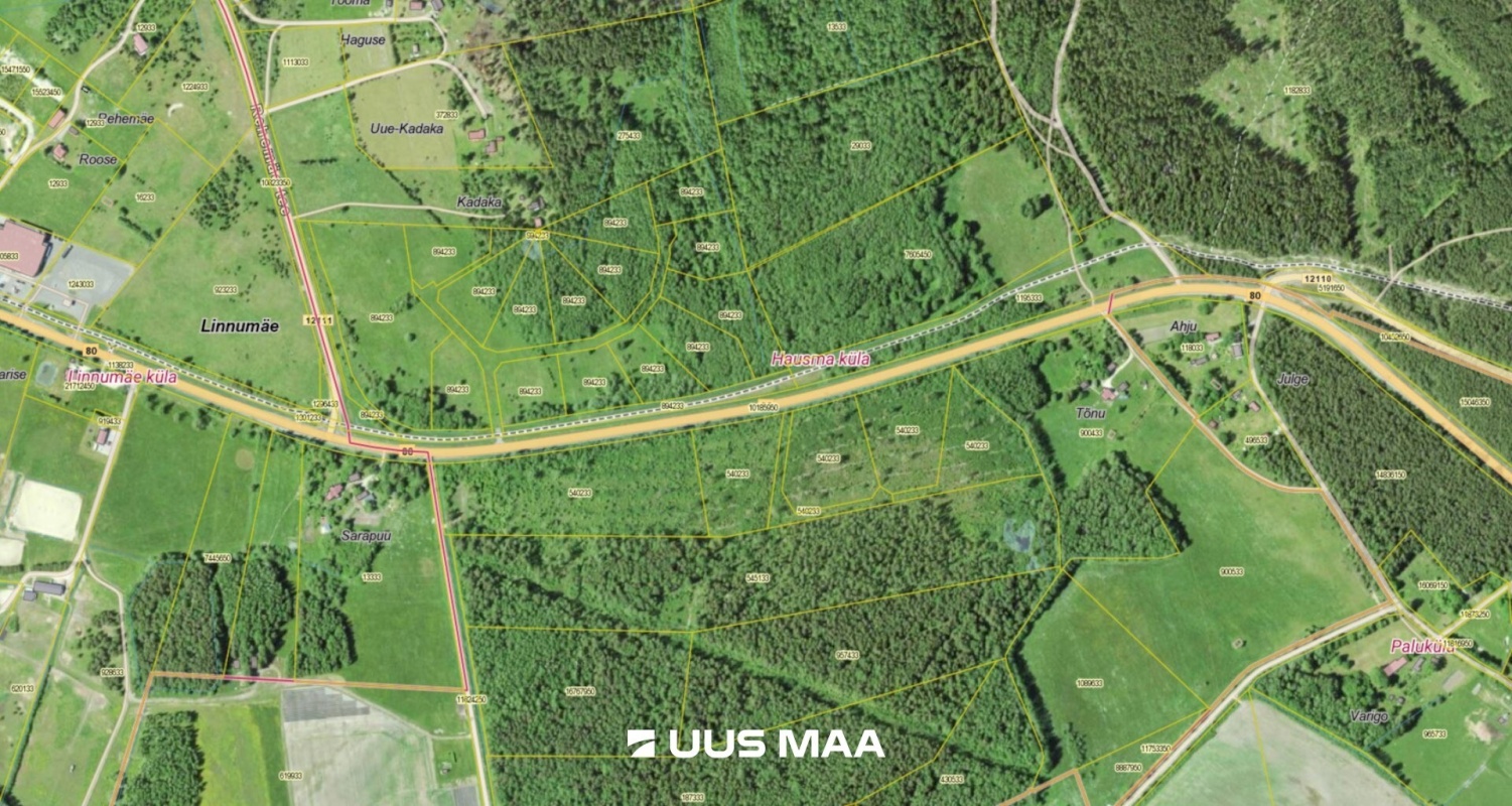Hiiumaa vald, Hausma küla, Vesiroosi