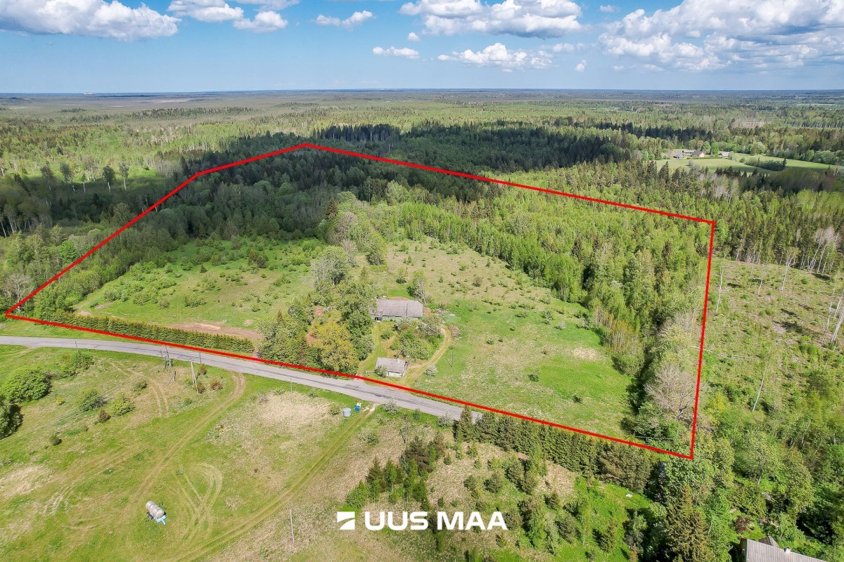 Saue vald, Tabara küla, Hinno