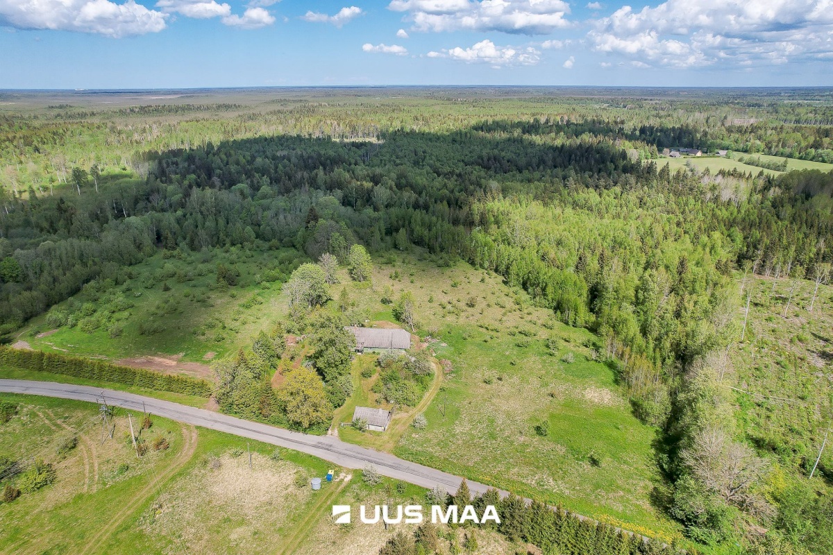 Saue vald, Tabara küla, Hinno