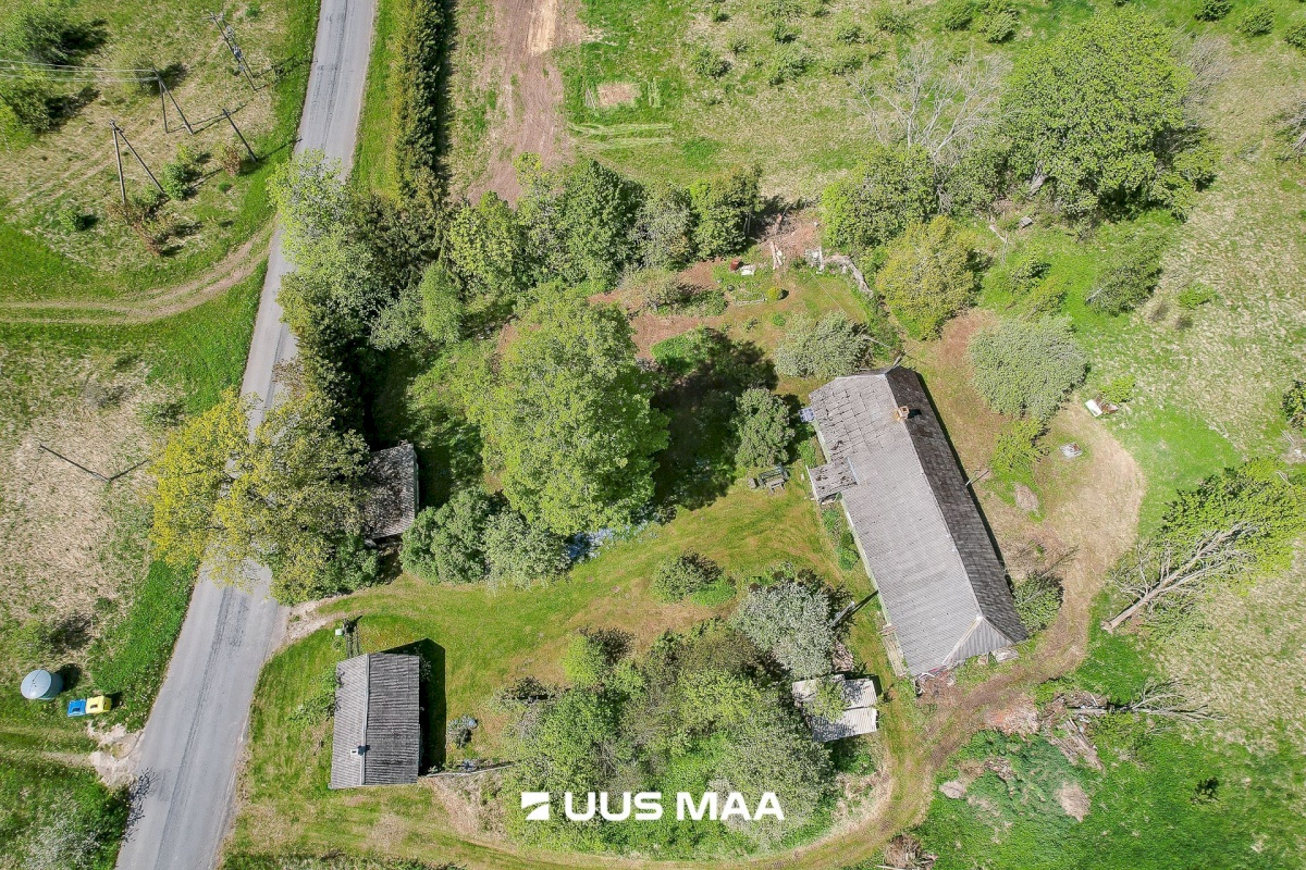Saue vald, Tabara küla, Hinno