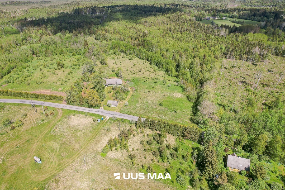 Saue vald, Tabara küla, Hinno