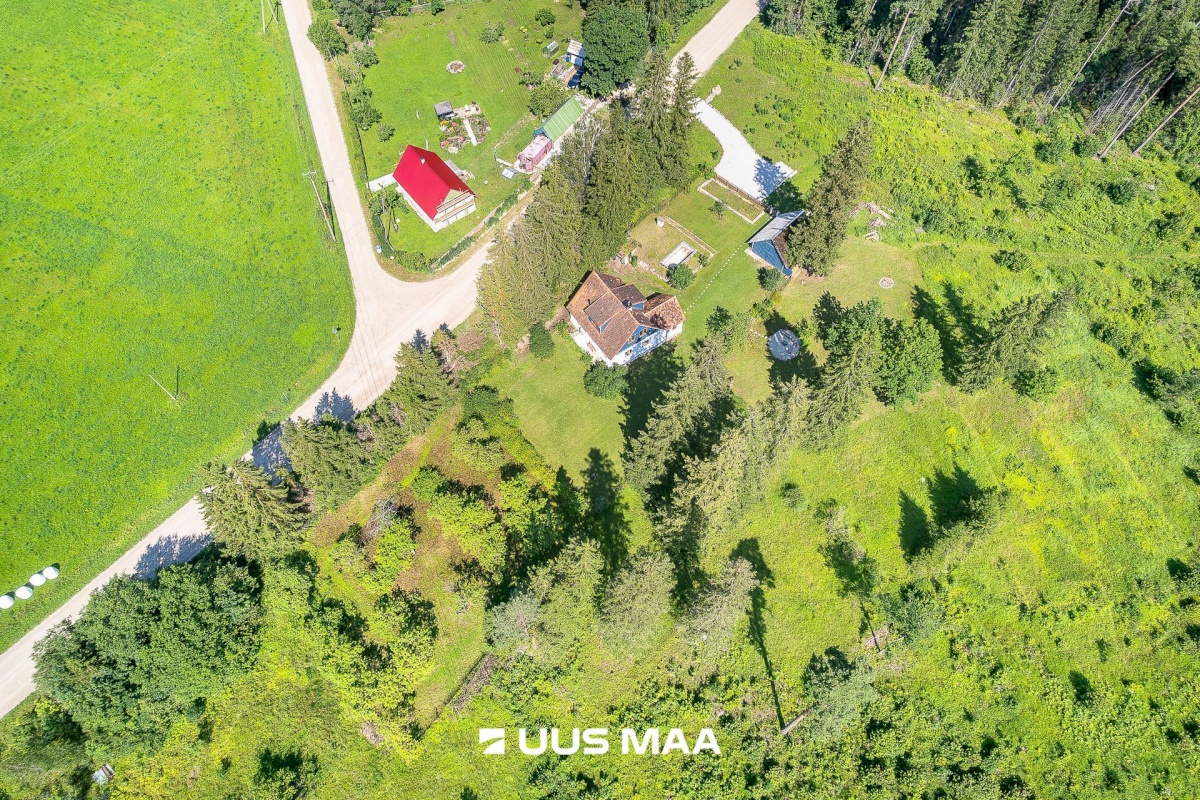 Märjamaa vald, Sipa küla, Uudiku meierei