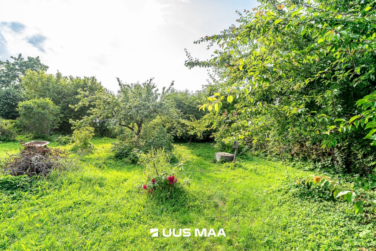 Maardu linn, Uus-Muuga pst 50