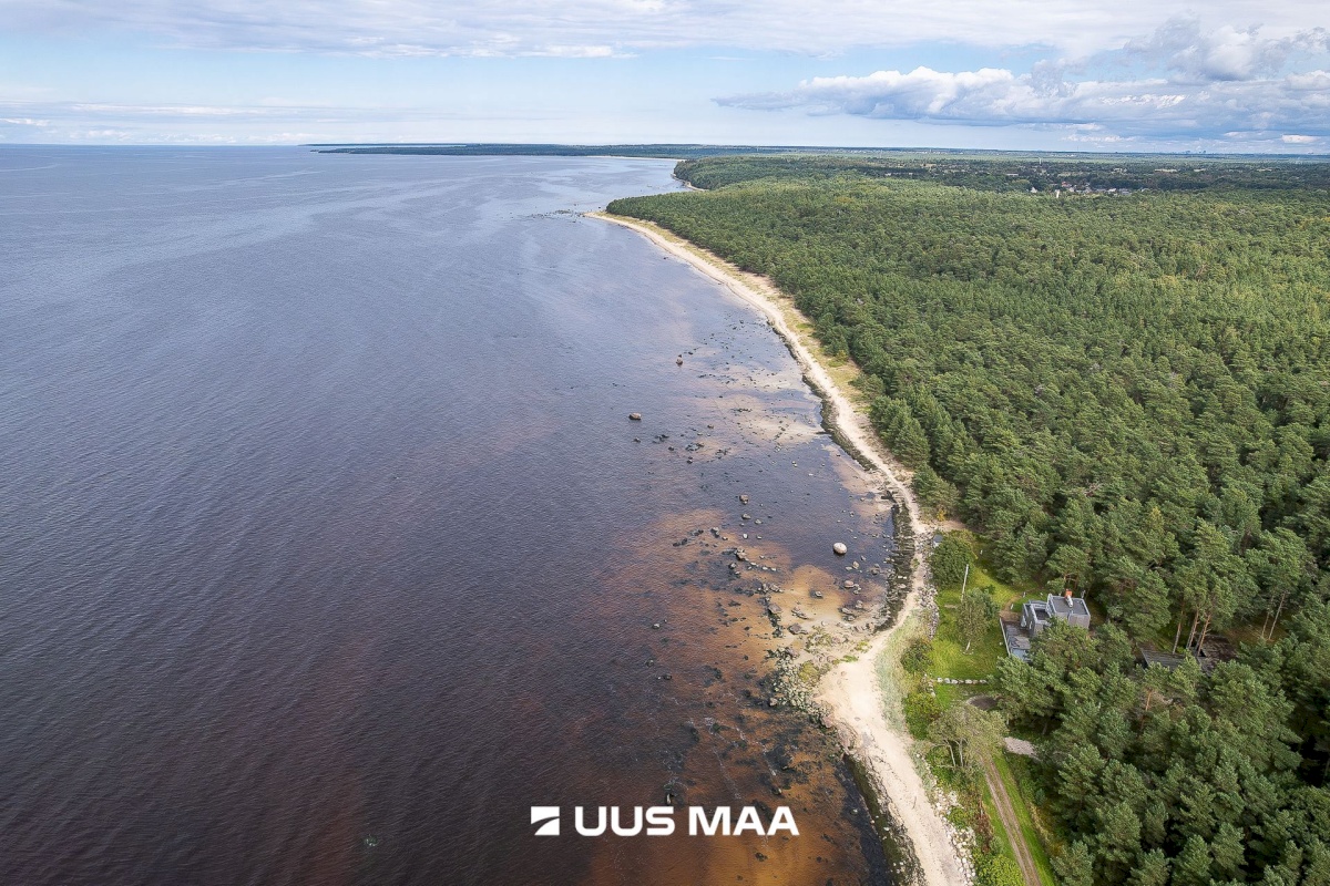 Lääne-Harju vald, Meremõisa küla, Merihobu tee 7