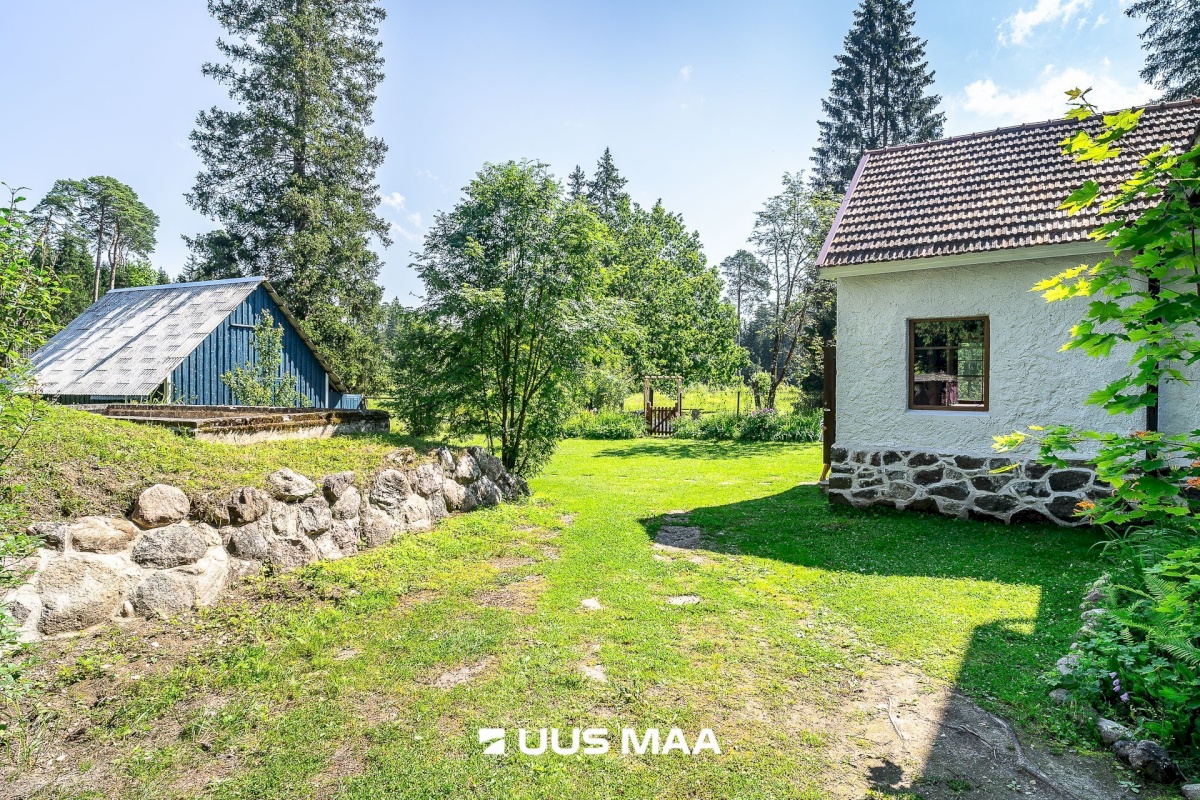 Märjamaa vald, Sipa küla, Uudiku Meierei