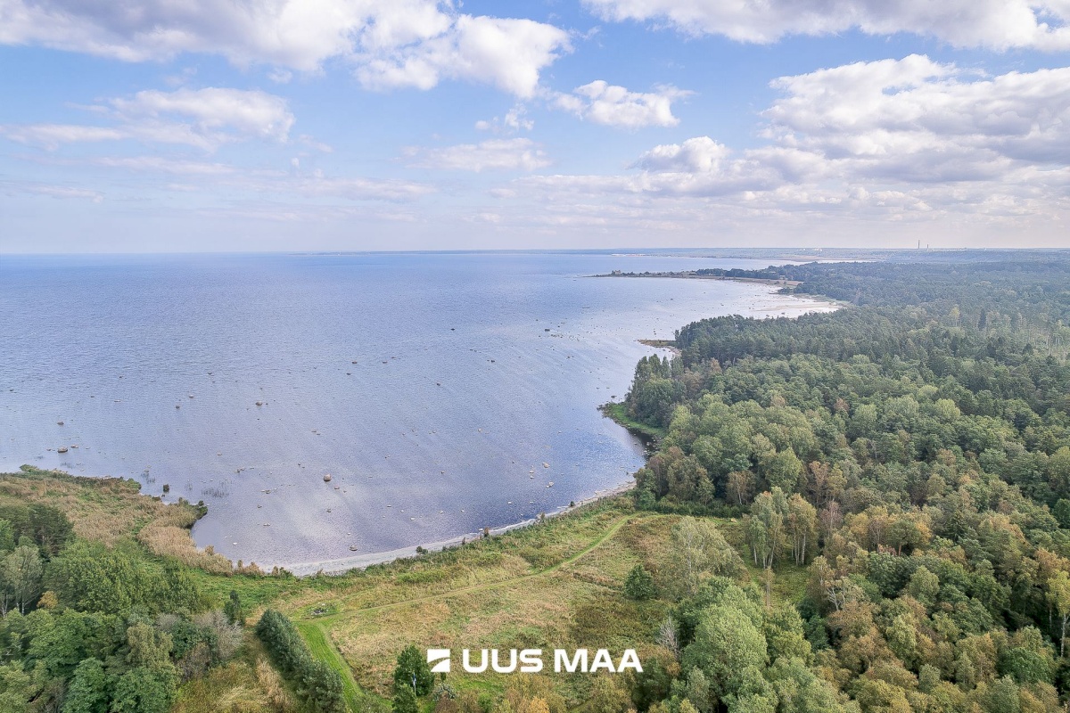 Haljala vald, Karepa küla, Gustavi