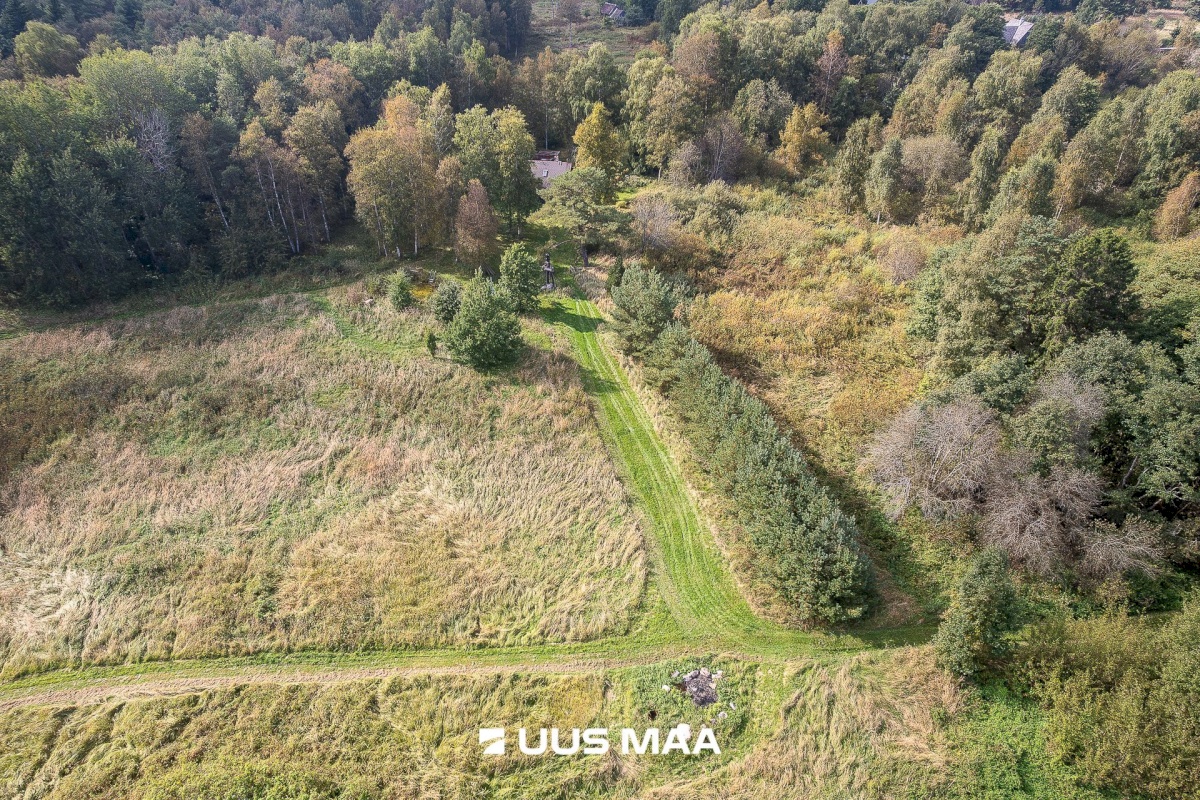 Haljala vald, Karepa küla, Gustavi
