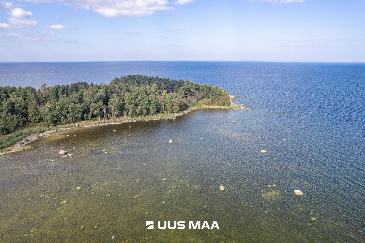 Haljala vald, Karepa küla, Gustavi