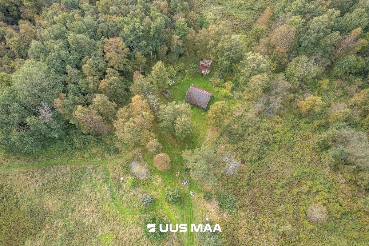 Haljala vald, Karepa küla, Gustavi