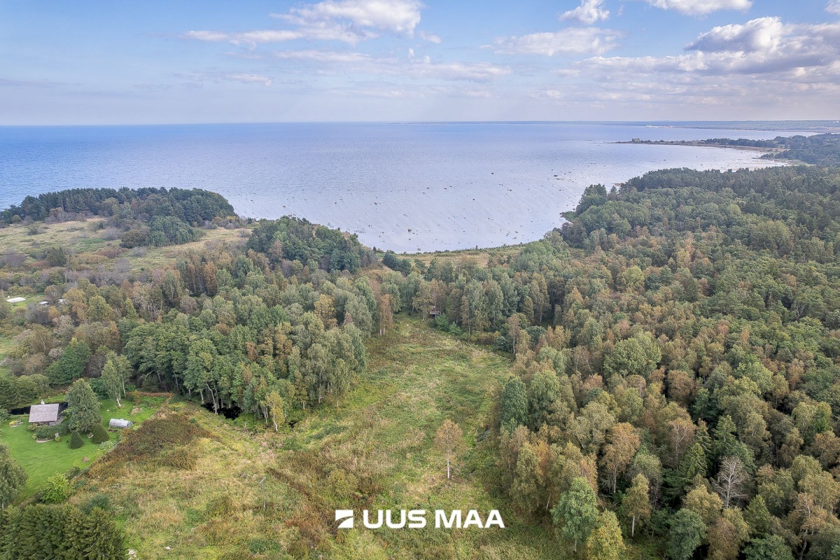 Haljala vald, Karepa küla, Gustavi