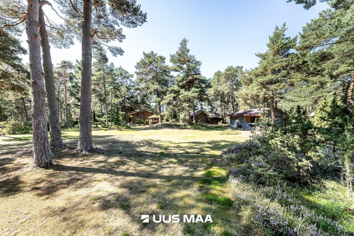 Jõelähtme vald, Neeme küla, Untaugu tee 10