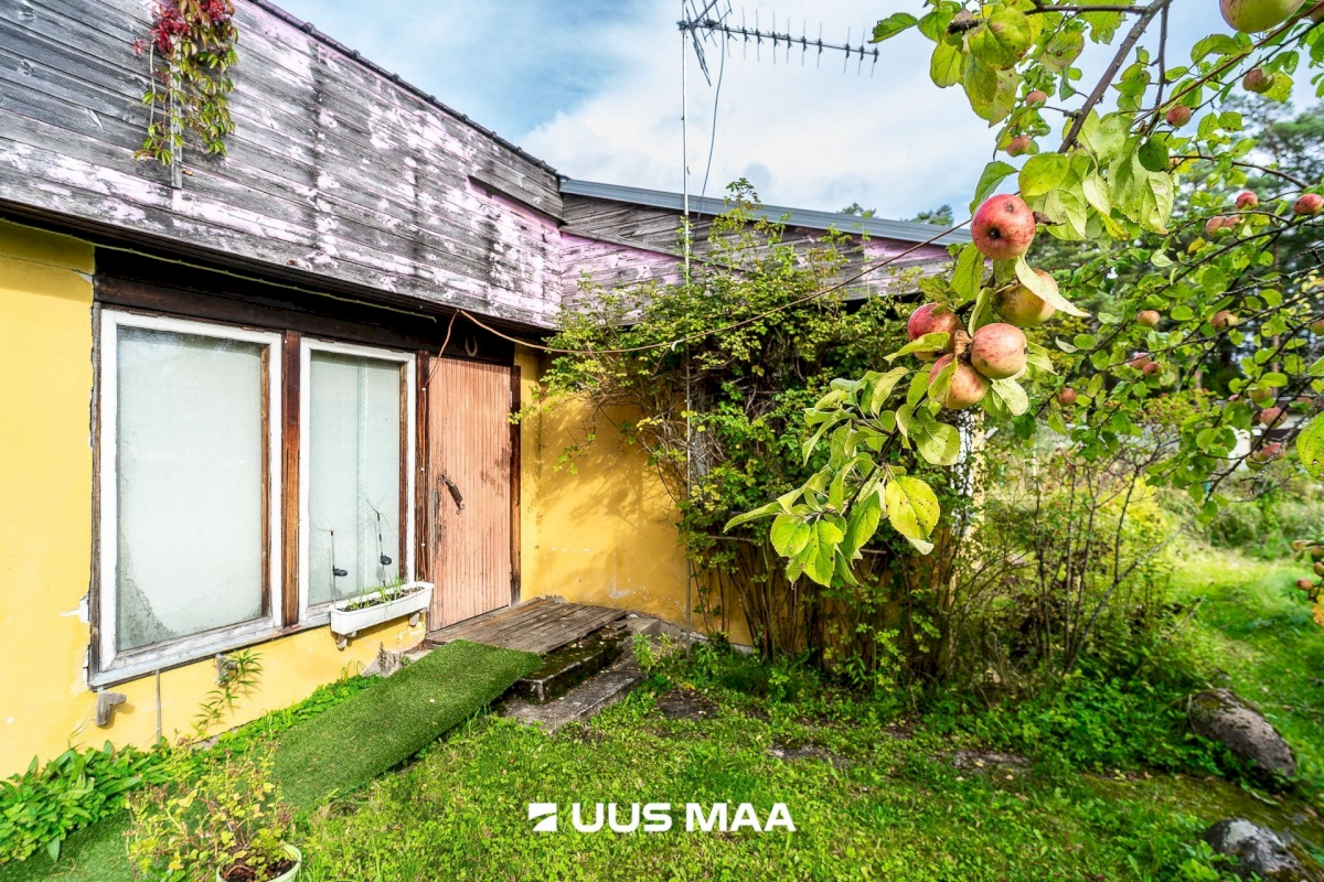 Kiili vald, Luige alevik, Kaasiku tn 8