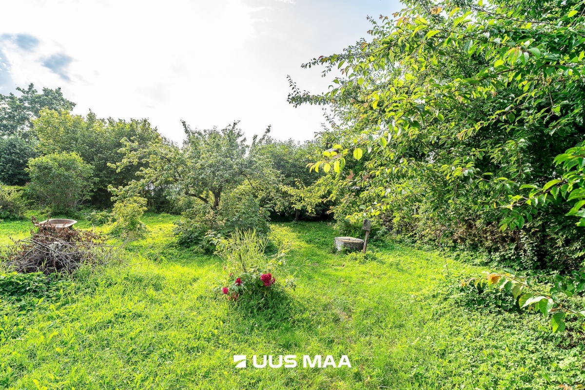 Maardu linn, Uus-Muuga pst 50