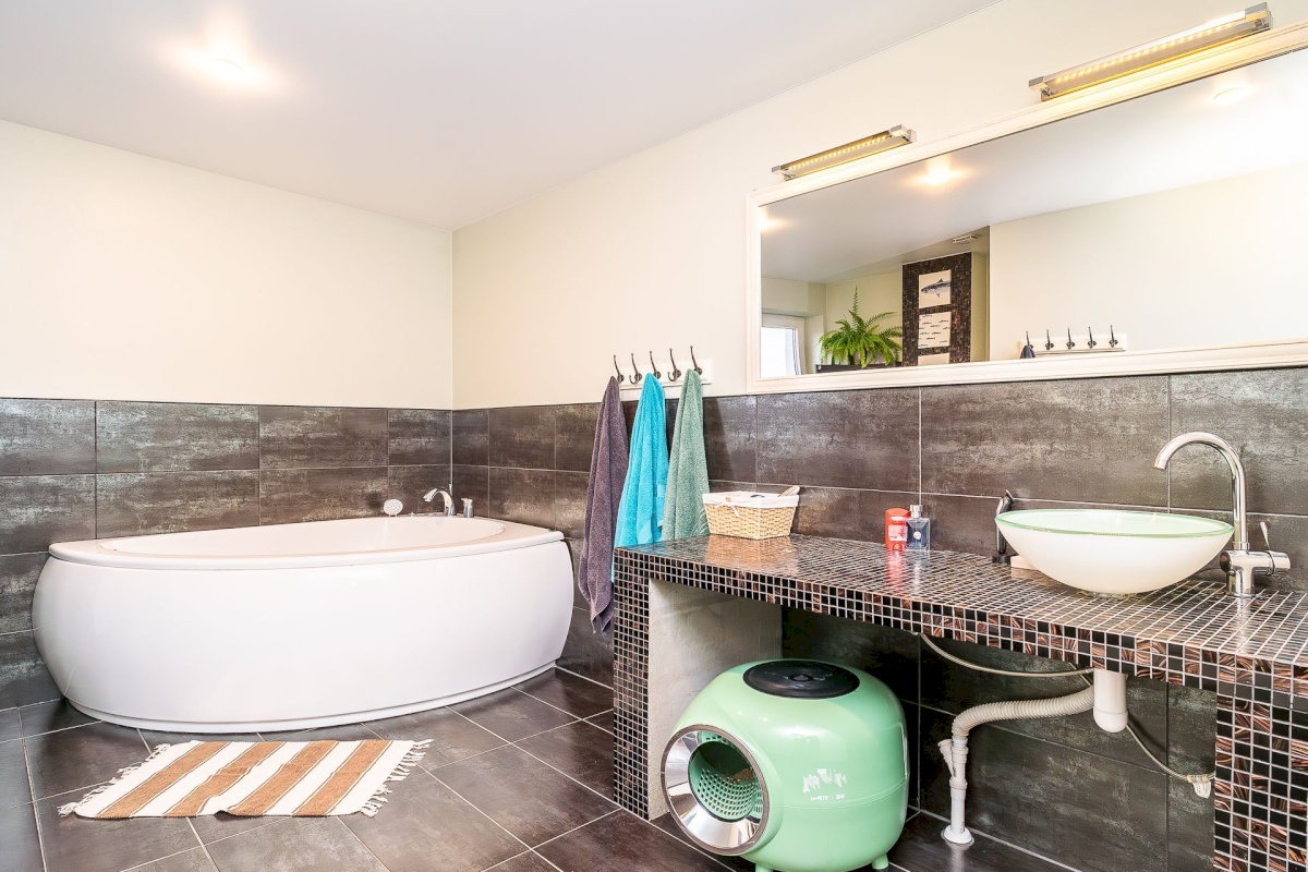 Keila linn, Hommiku 9