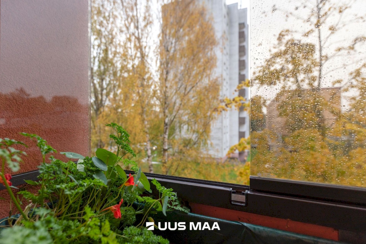 Tartu linn, Tartu linn, Ropka, Ropka 6