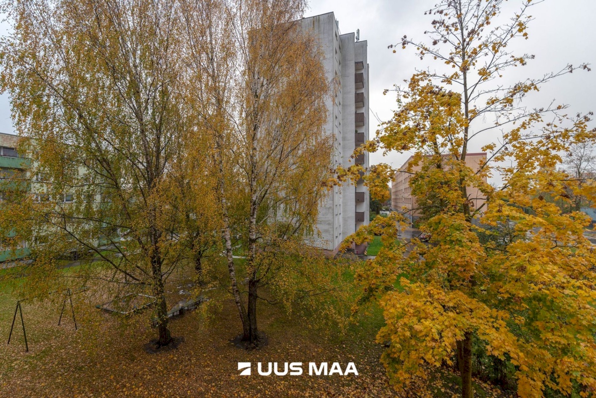 Tartu linn, Tartu linn, Ropka, Ropka 6